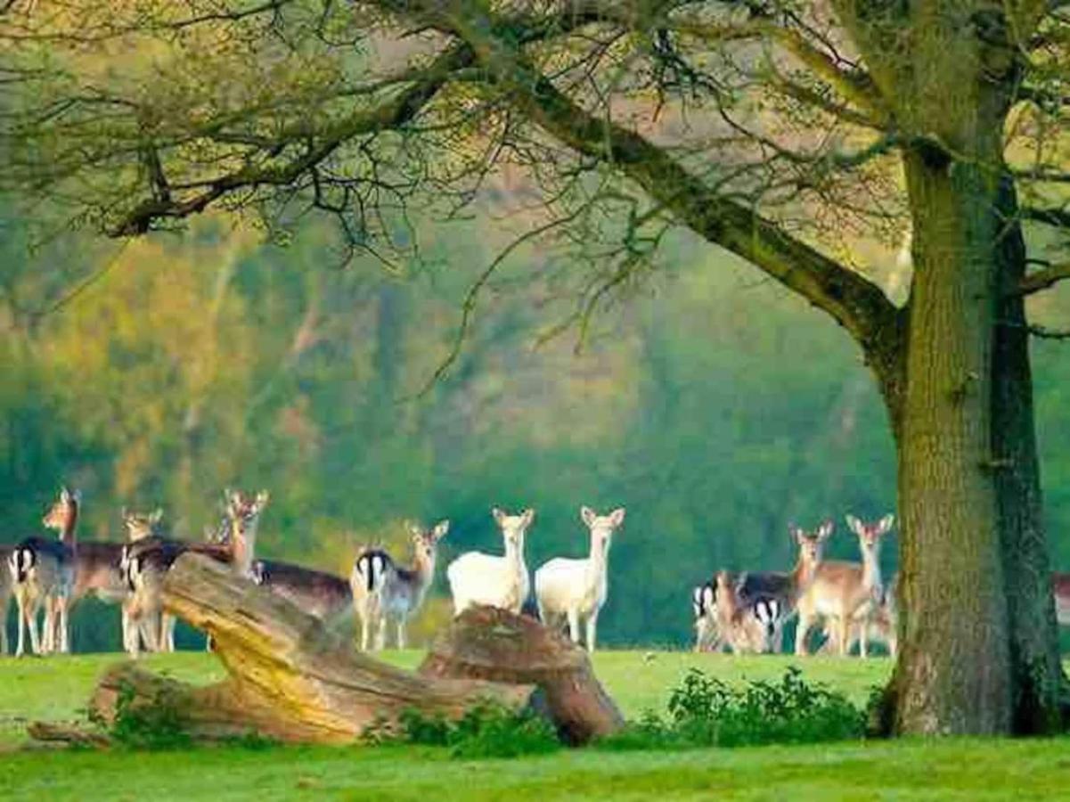 Heavenly Haven Hotel Lymington Bagian luar foto